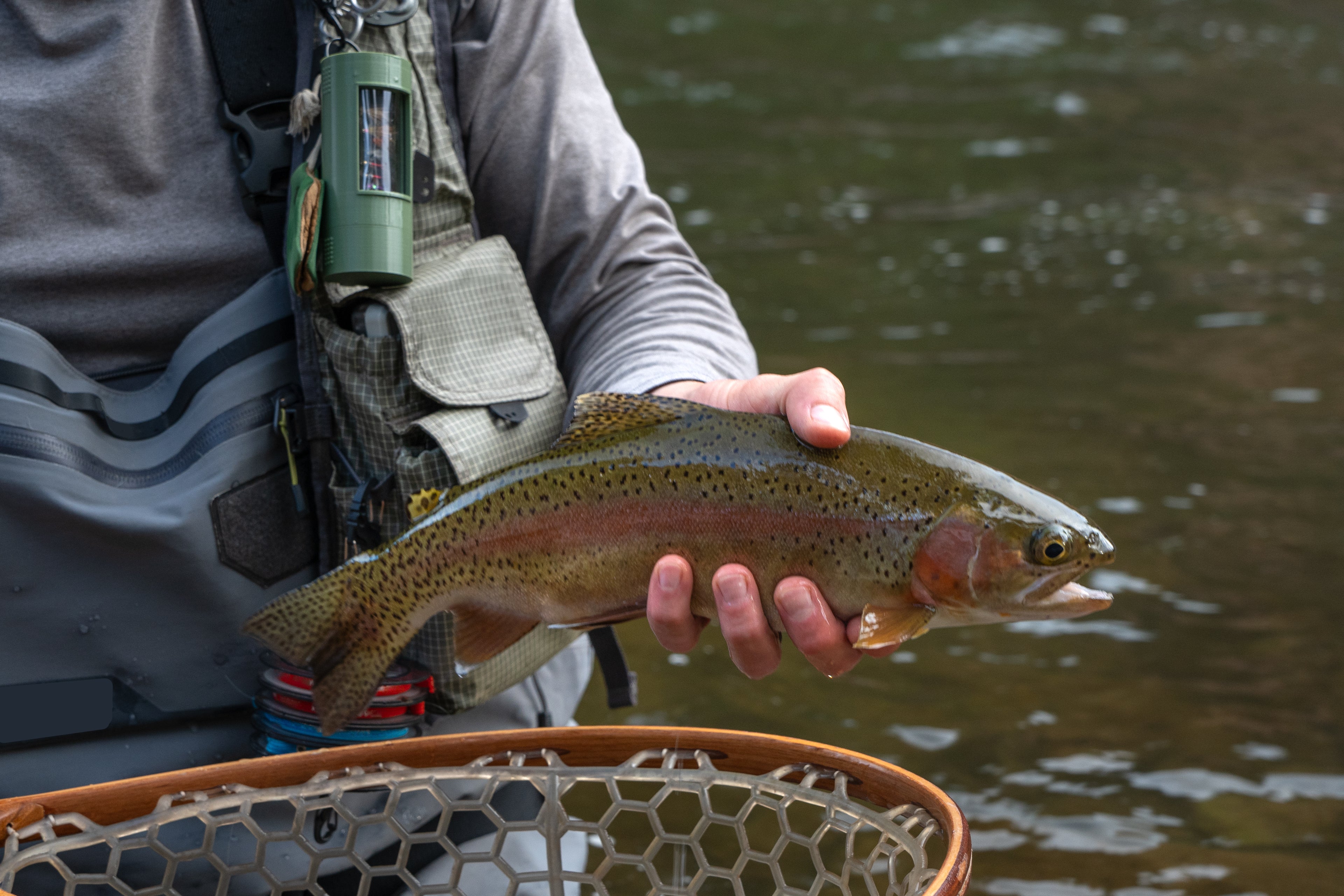 BUGGALOW CLIP-ON FLY BOX